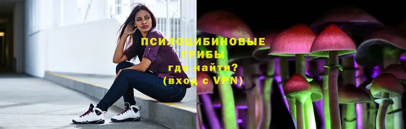 Псилоцибиновые грибы Psilocybe  где купить   ОМГ ОМГ tor  Грязовец 